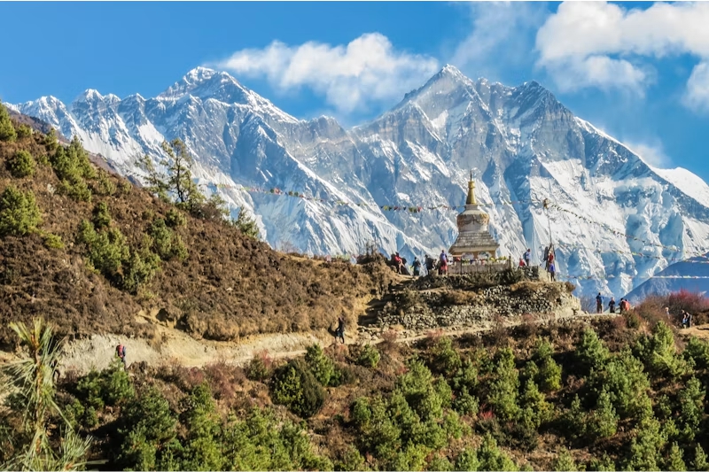 Himalayan